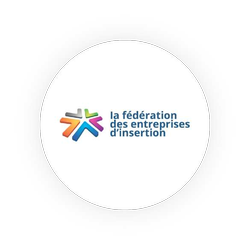 Logo fédération des entreprises d'insertion